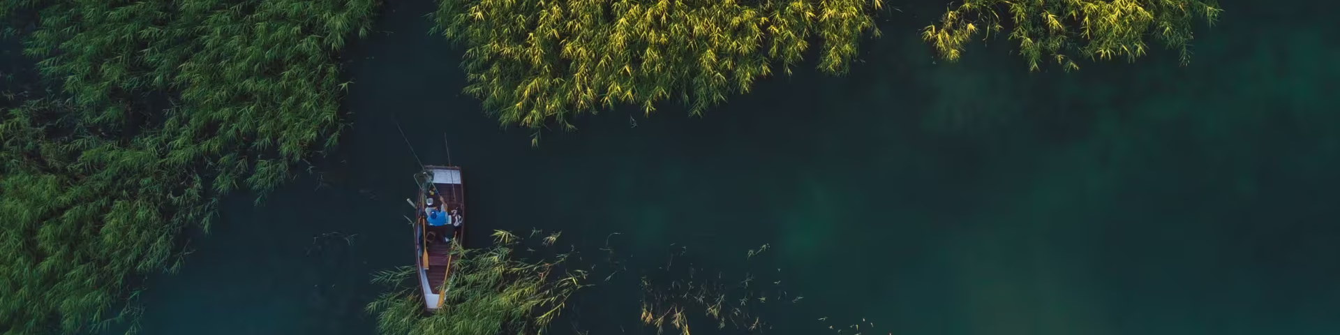 Solutions Business: Nous aidons votre entreprise à prospérer