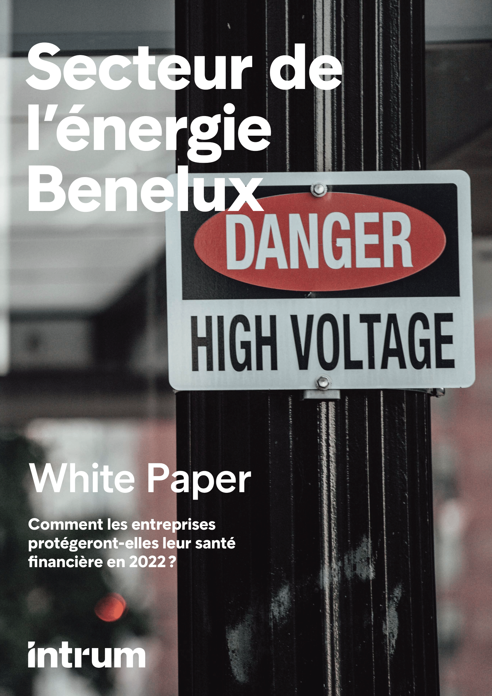 Secteur de l'énergie - White Paper