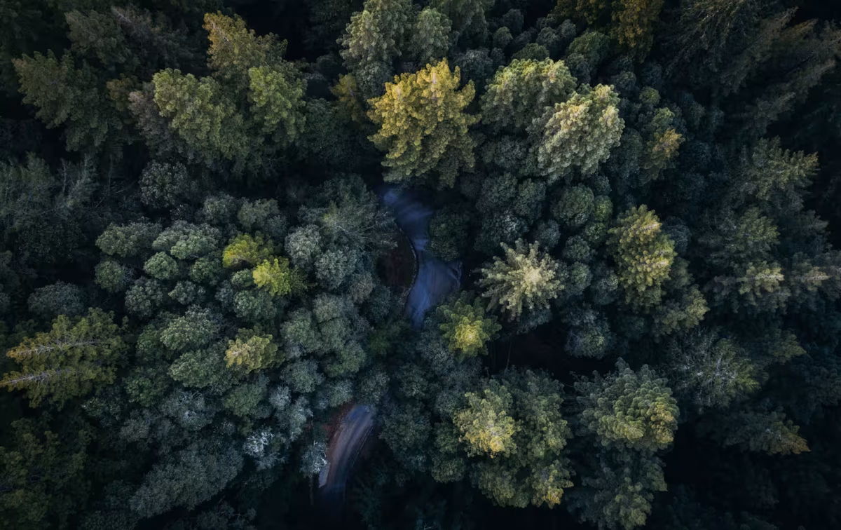 Sustainability Report